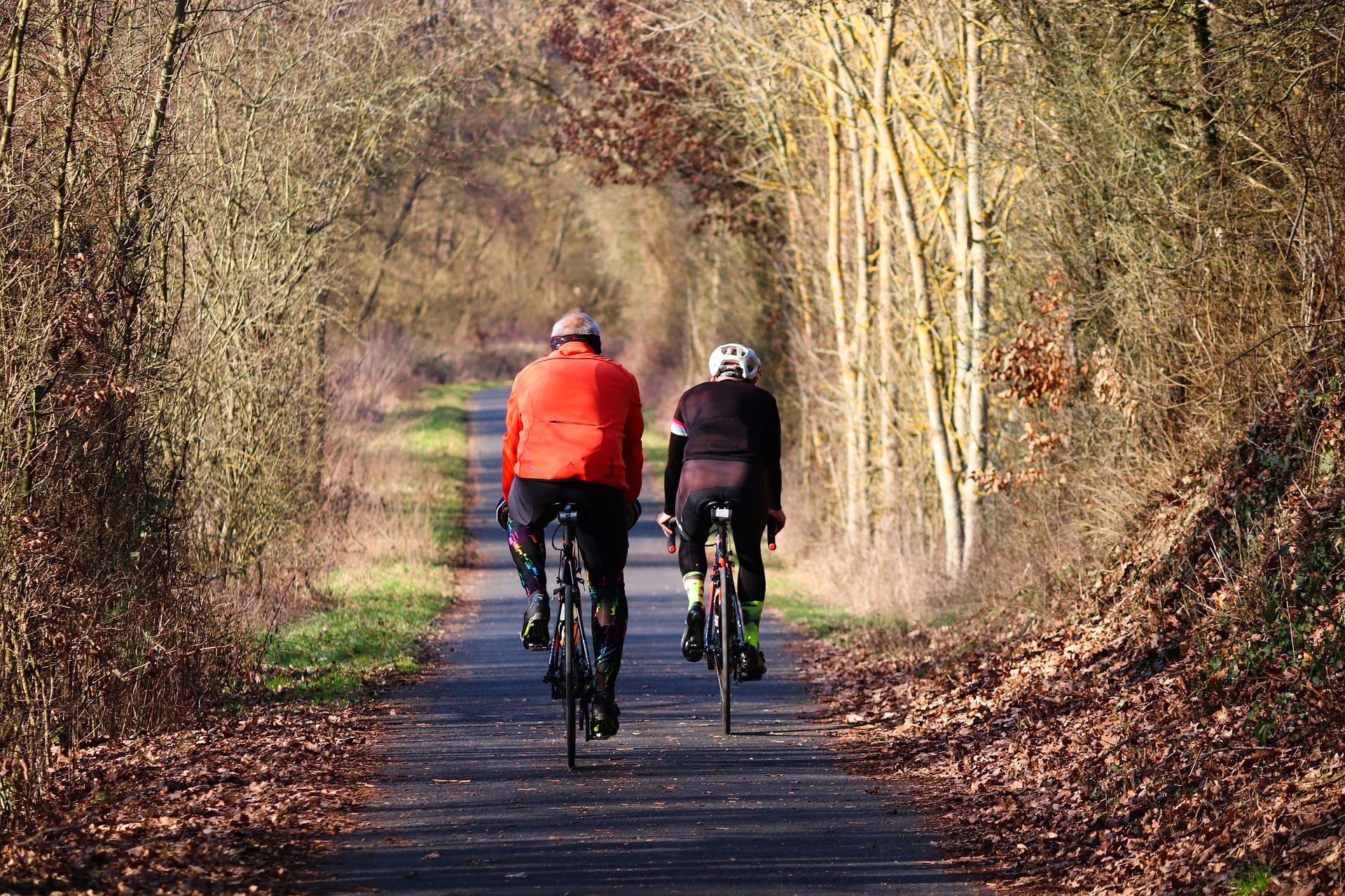 Deux cyclistes font du vélo sur un sentier traversant les bois.